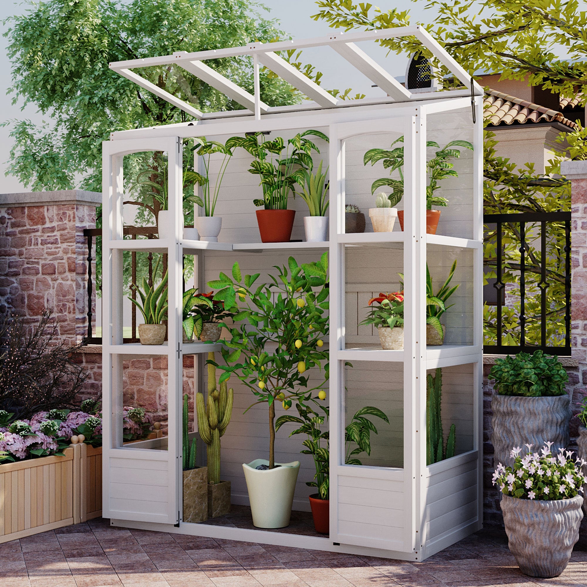 🆓🚛 78-" Wooden Greenhouse Cold Frame With 4 Independent Skylights and 2 Folding Middle Shelves, Walk-In Outdoor Greenhouse, White