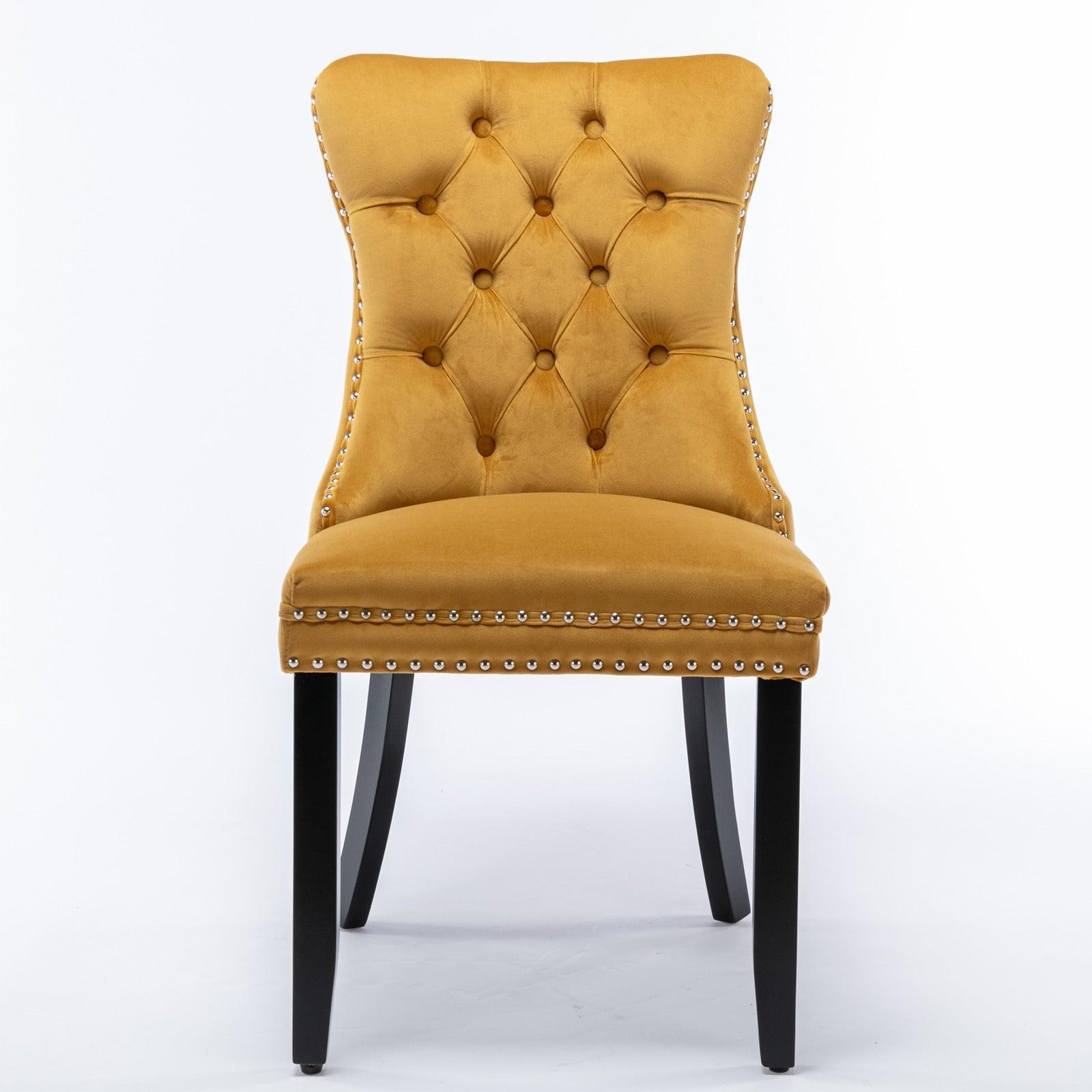 Allena Set Of 2 Velvet Upholstered Dining Chairs Nailhead Trim - Golden LamCham