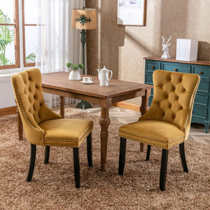 Allena Set Of 2 Velvet Upholstered Dining Chairs Nailhead Trim - Golden LamCham