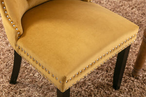 Allena Set Of 2 Velvet Upholstered Dining Chairs Nailhead Trim - Golden LamCham