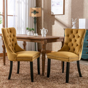 Allena Set Of 2 Velvet Upholstered Dining Chairs Nailhead Trim - Golden LamCham