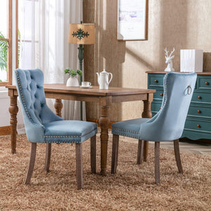 Allena Set Of 2 Velvet Upholstered Dining Chairs Nailhead Trim - Light Blue LamCham