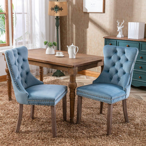 Allena Set Of 2 Velvet Upholstered Dining Chairs Nailhead Trim - Light Blue LamCham