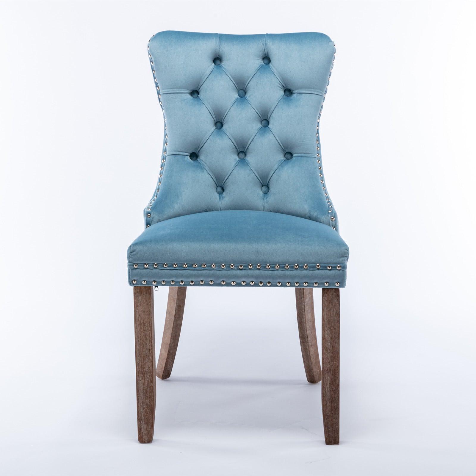 Allena Set Of 2 Velvet Upholstered Dining Chairs Nailhead Trim - Light Blue LamCham