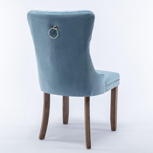 Allena Set Of 2 Velvet Upholstered Dining Chairs Nailhead Trim - Light Blue LamCham