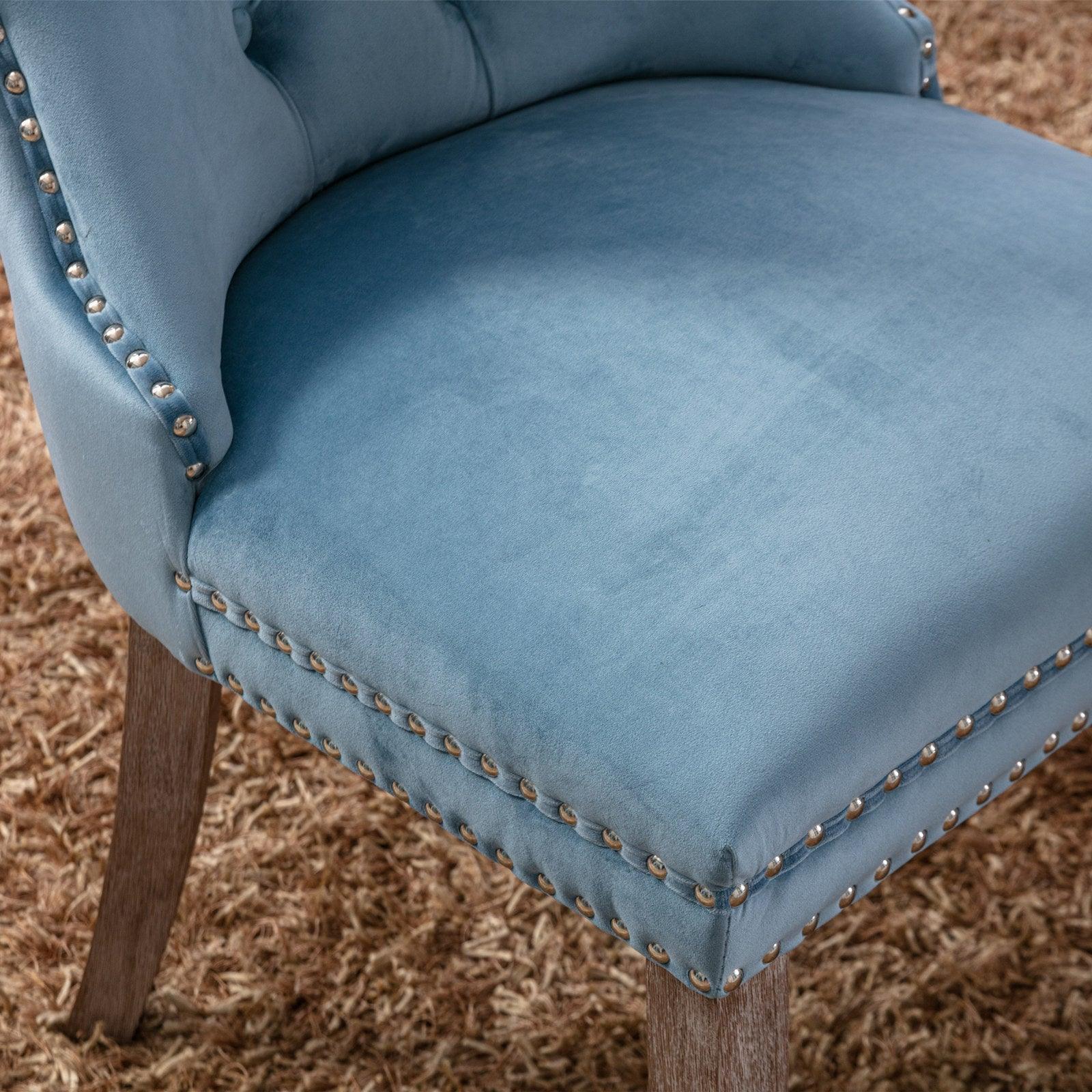 Allena Set Of 2 Velvet Upholstered Dining Chairs Nailhead Trim - Light Blue LamCham