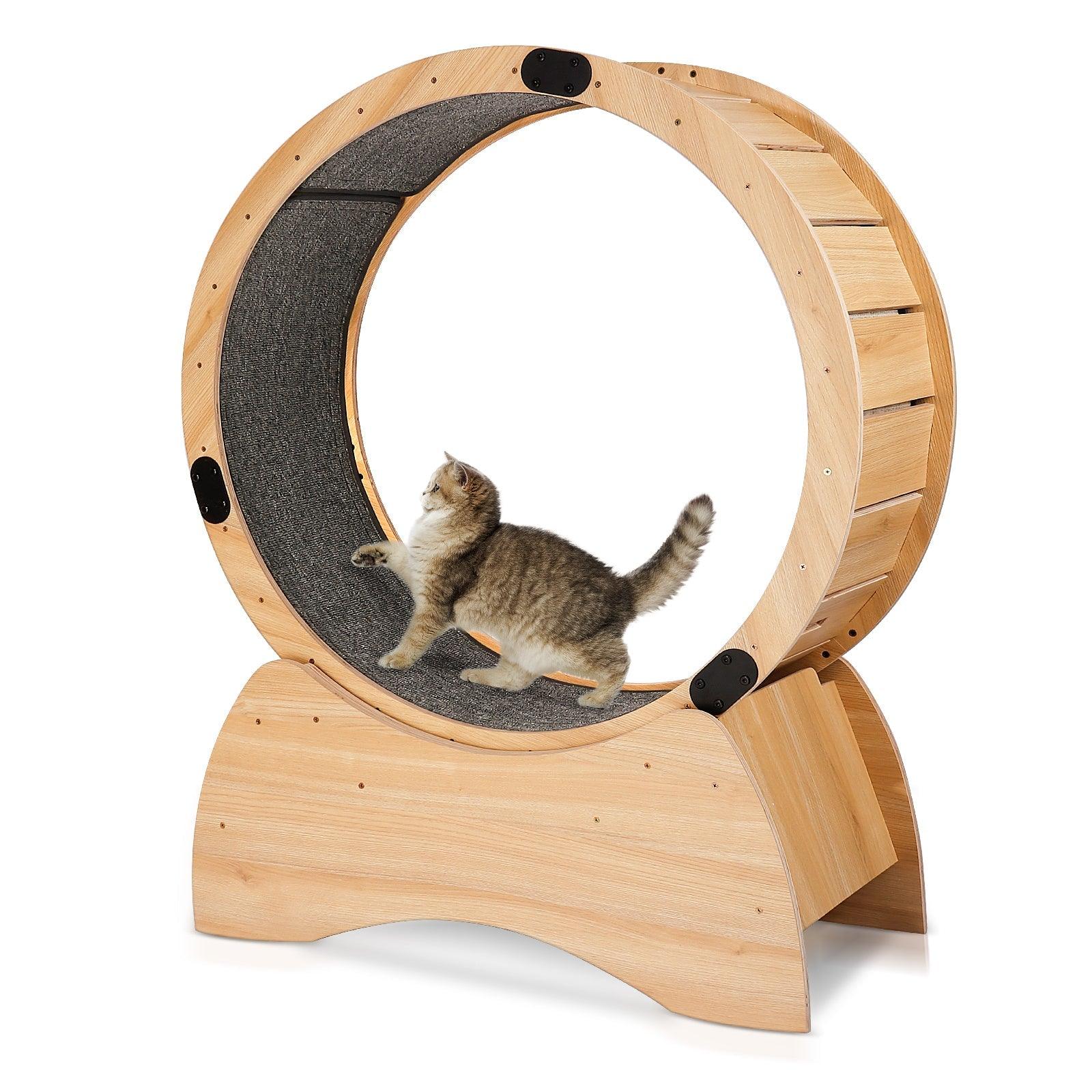 Cat Exercise Wheel – Running, Spinning, and Scratching Fun, Cat Treadmill with Carpeted Runway, Kitty Cat Sport Toy LamCham