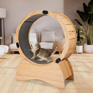 Cat Exercise Wheel – Running, Spinning, and Scratching Fun, Cat Treadmill with Carpeted Runway, Kitty Cat Sport Toy LamCham