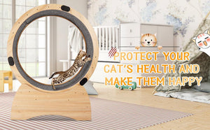 Cat Exercise Wheel – Running, Spinning, and Scratching Fun, Cat Treadmill with Carpeted Runway, Kitty Cat Sport Toy LamCham