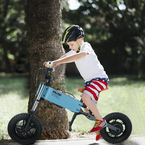 Children's outdoor off-road electric bicycle LamCham