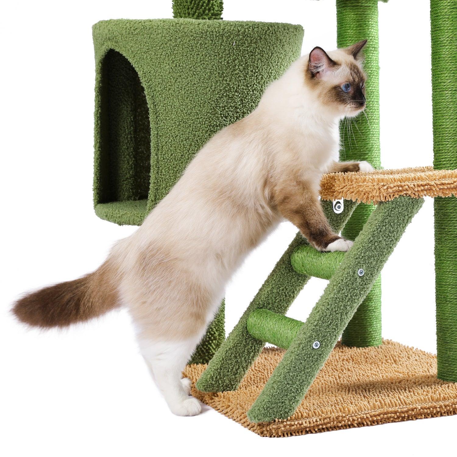 Desert Cactus Cat Tree Ladder Multi Levels Condo LamCham