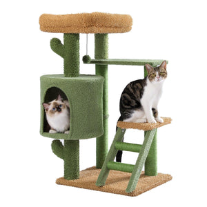 Desert Cactus Cat Tree Ladder Multi Levels Condo LamCham