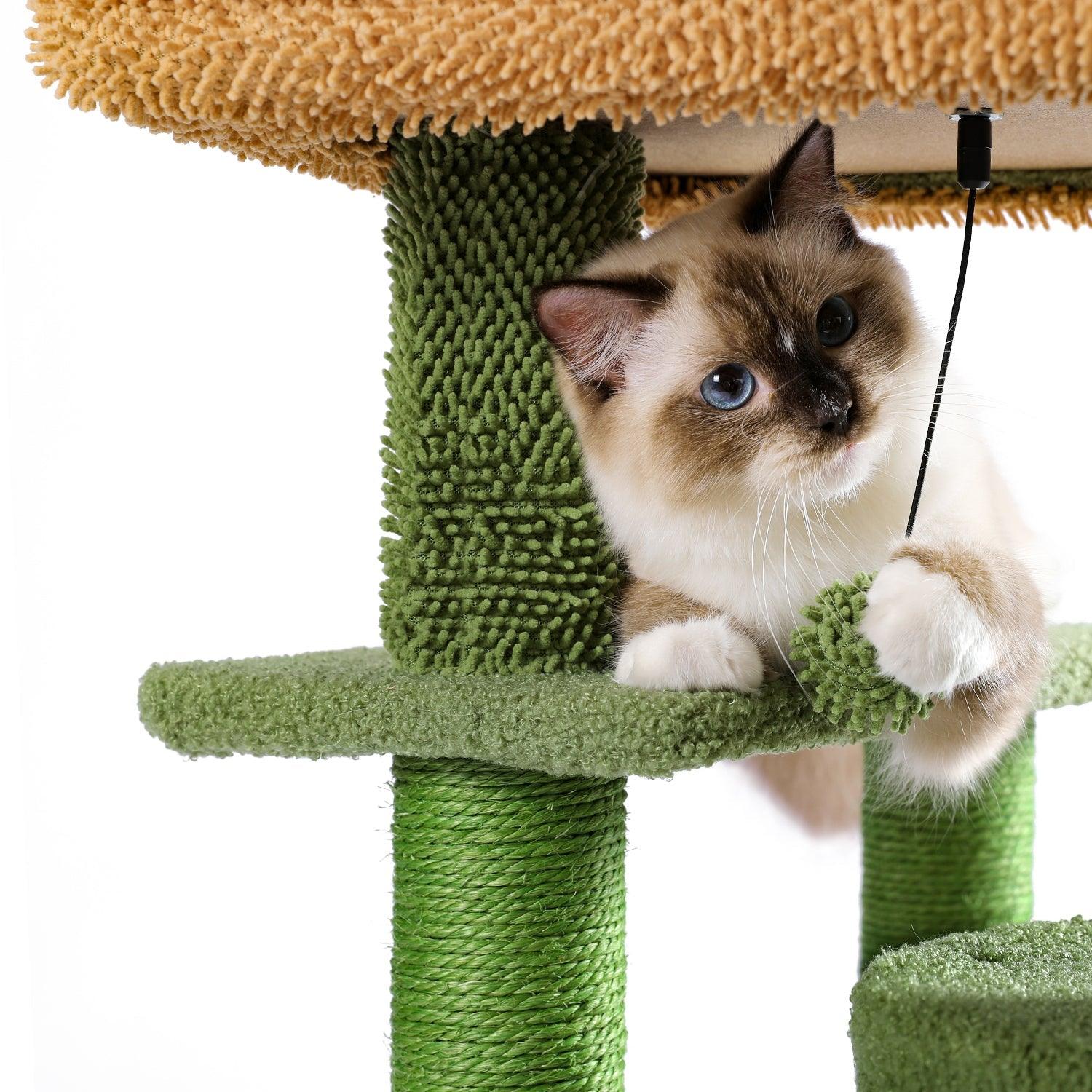 Desert Cactus Cat Tree Ladder Multi Levels Condo LamCham