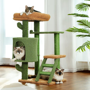 Desert Cactus Cat Tree Ladder Multi Levels Condo LamCham