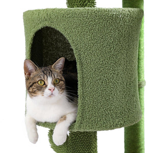 Desert Cactus Cat Tree Ladder Multi Levels Condo LamCham