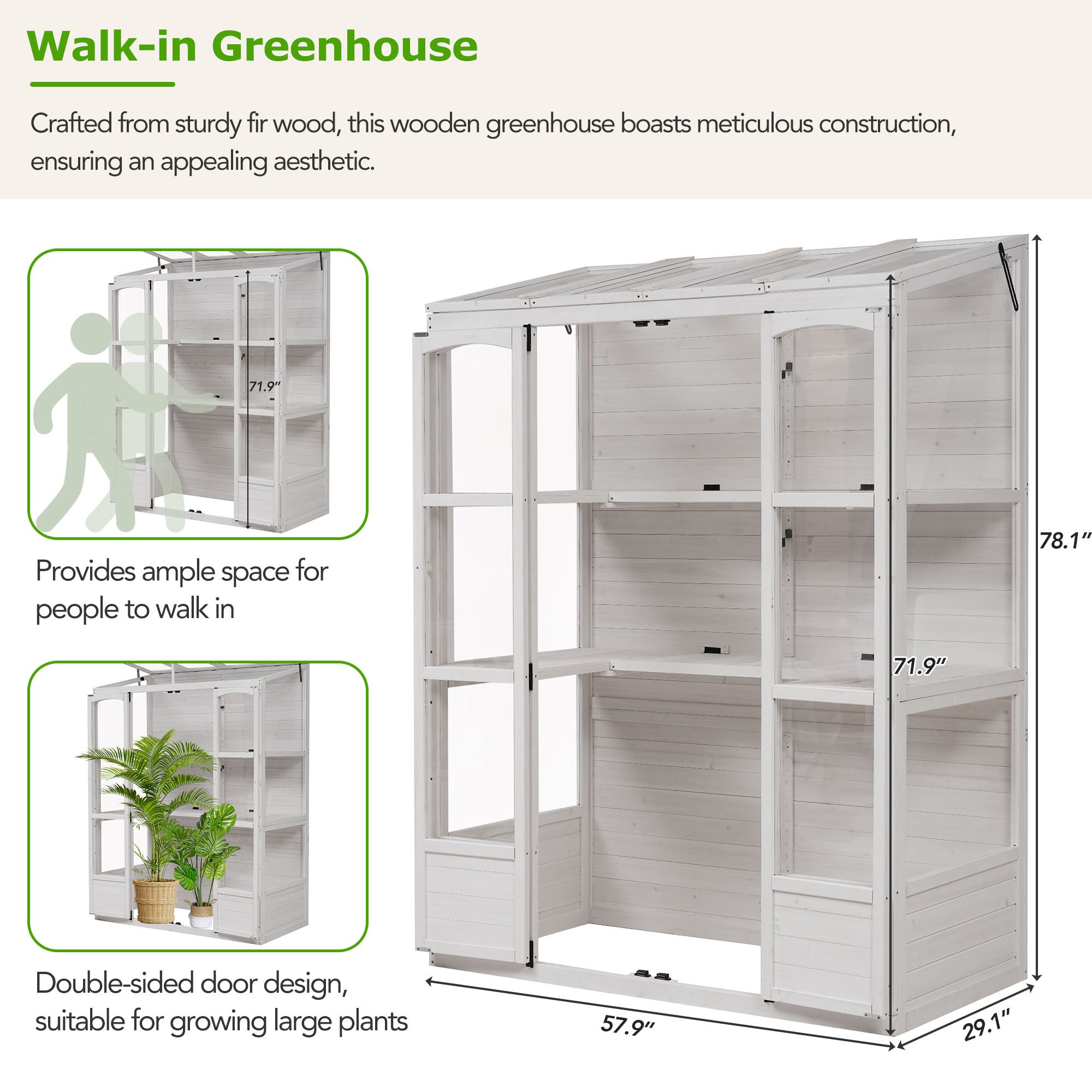 🆓🚛 78-" Wooden Greenhouse Cold Frame With 4 Independent Skylights and 2 Folding Middle Shelves, Walk-In Outdoor Greenhouse, White