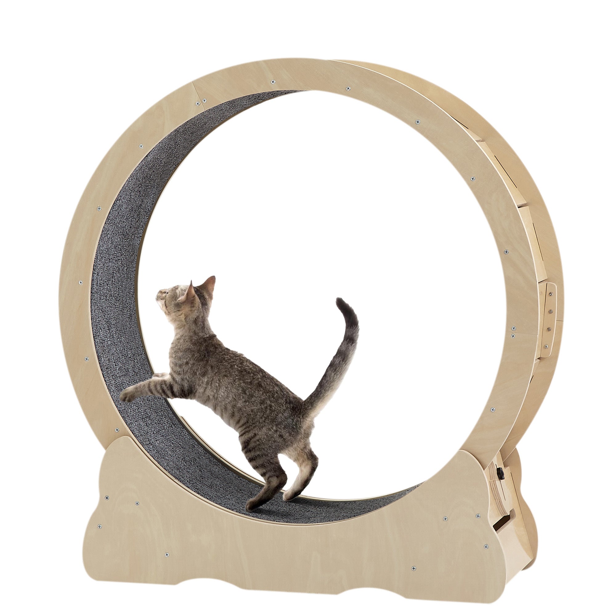 Cat Exercise Wheel - Indoor Cat Treadmill With Carpeted Running Track, Safety Cat Treadmill With Latch, Weighted Wheel for Cats, Add Fun To Cat Exercise, Natural Wood Color, 35.8"L X 12.6"W X 38.2"H