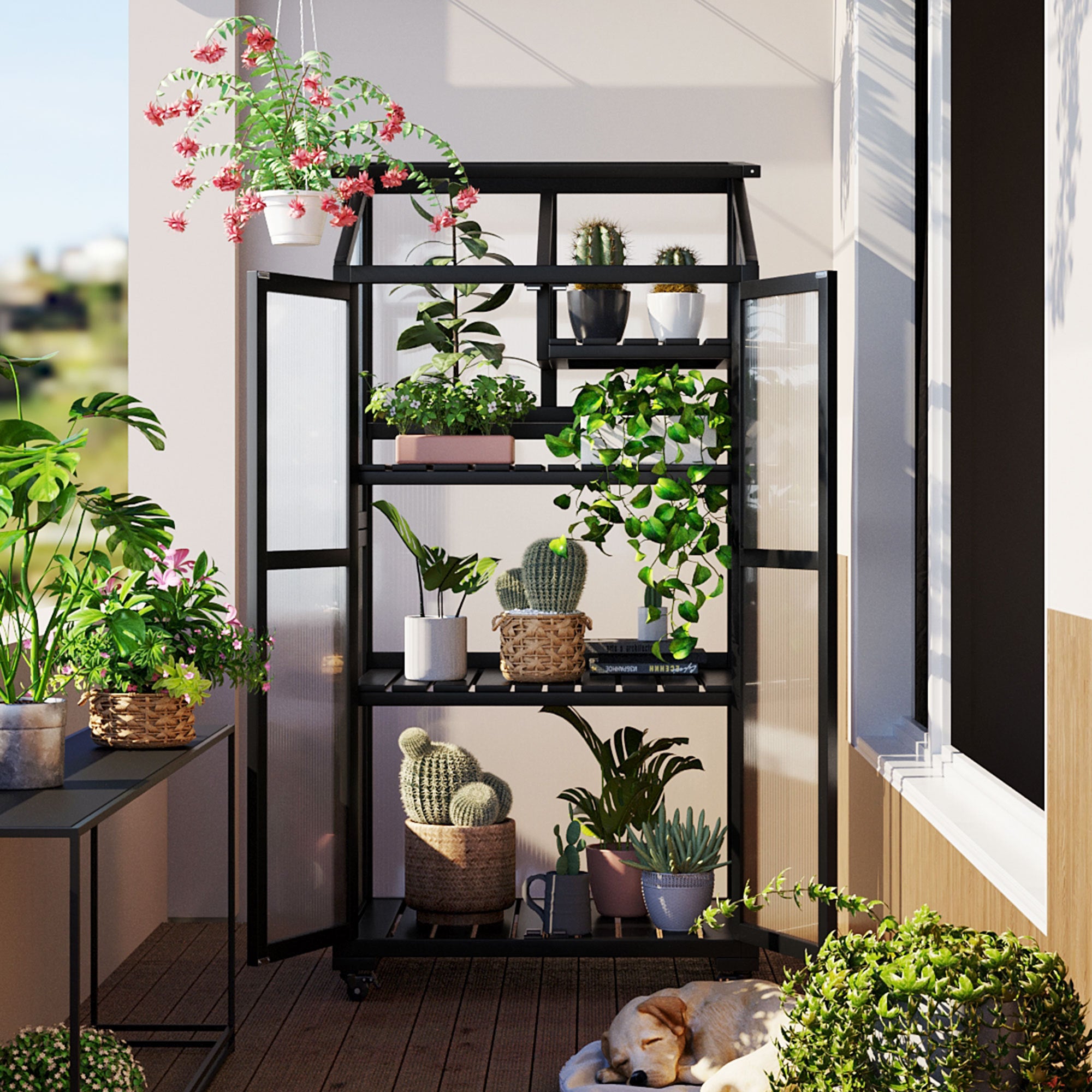🆓🚛 62" Height Wood Large Greenhouse Balcony Portable Cold Frame With Wheels and Adjustable Shelves for Outdoor Indoor Use, Black