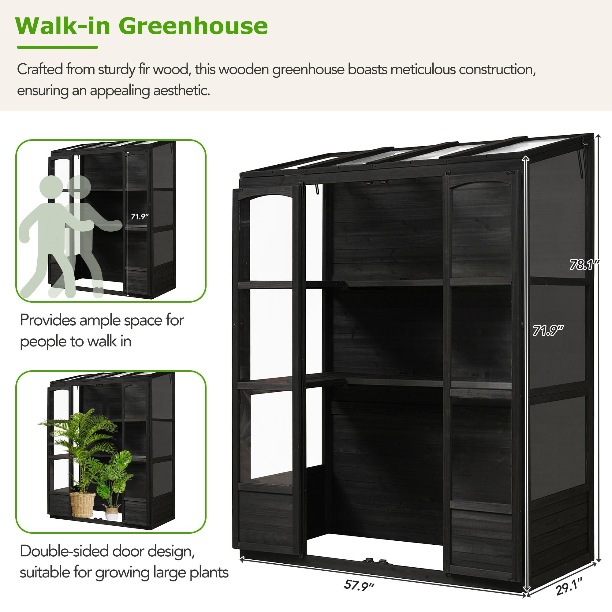 🆓🚛 78-" Wooden Greenhouse Cold Frame With 4 Independent Skylights and 2 Folding Middle Shelves, Walk-In Outdoor Greenhouse, Black