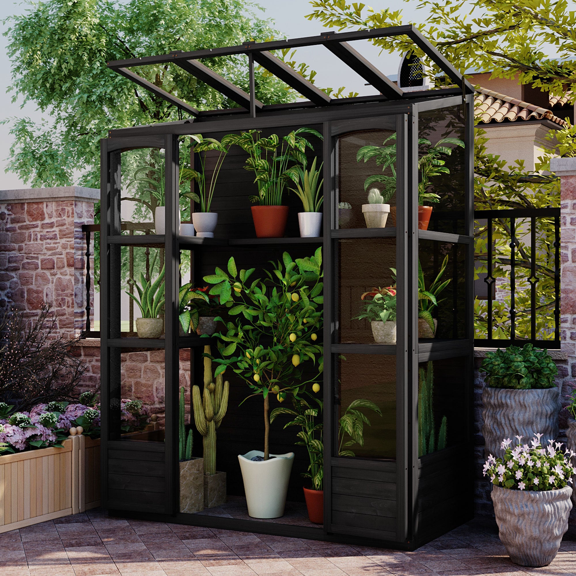 🆓🚛 78-" Wooden Greenhouse Cold Frame With 4 Independent Skylights and 2 Folding Middle Shelves, Walk-In Outdoor Greenhouse, Black