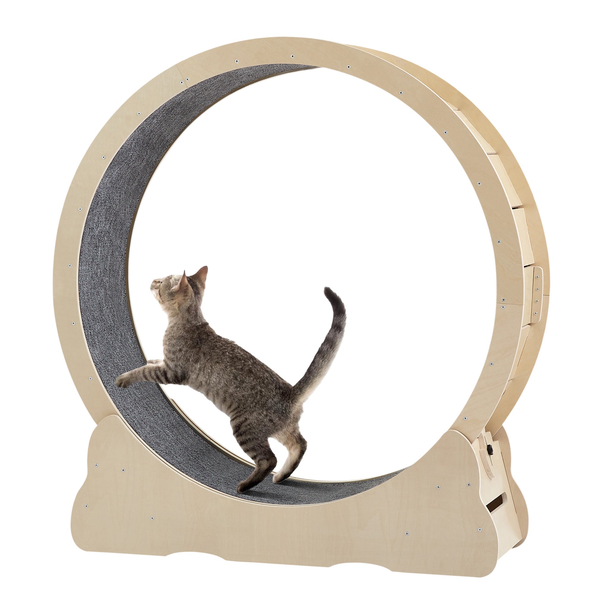 Cat Exercise Wheel - Indoor Cat Treadmill With Carpeted Running Track, Safety Cat Treadmill With Latch, Weighted Wheel for Cats, Add Fun To Cat Exercise, Natural Wood Color, 43.3"L X 13.2"W X 45.9"H