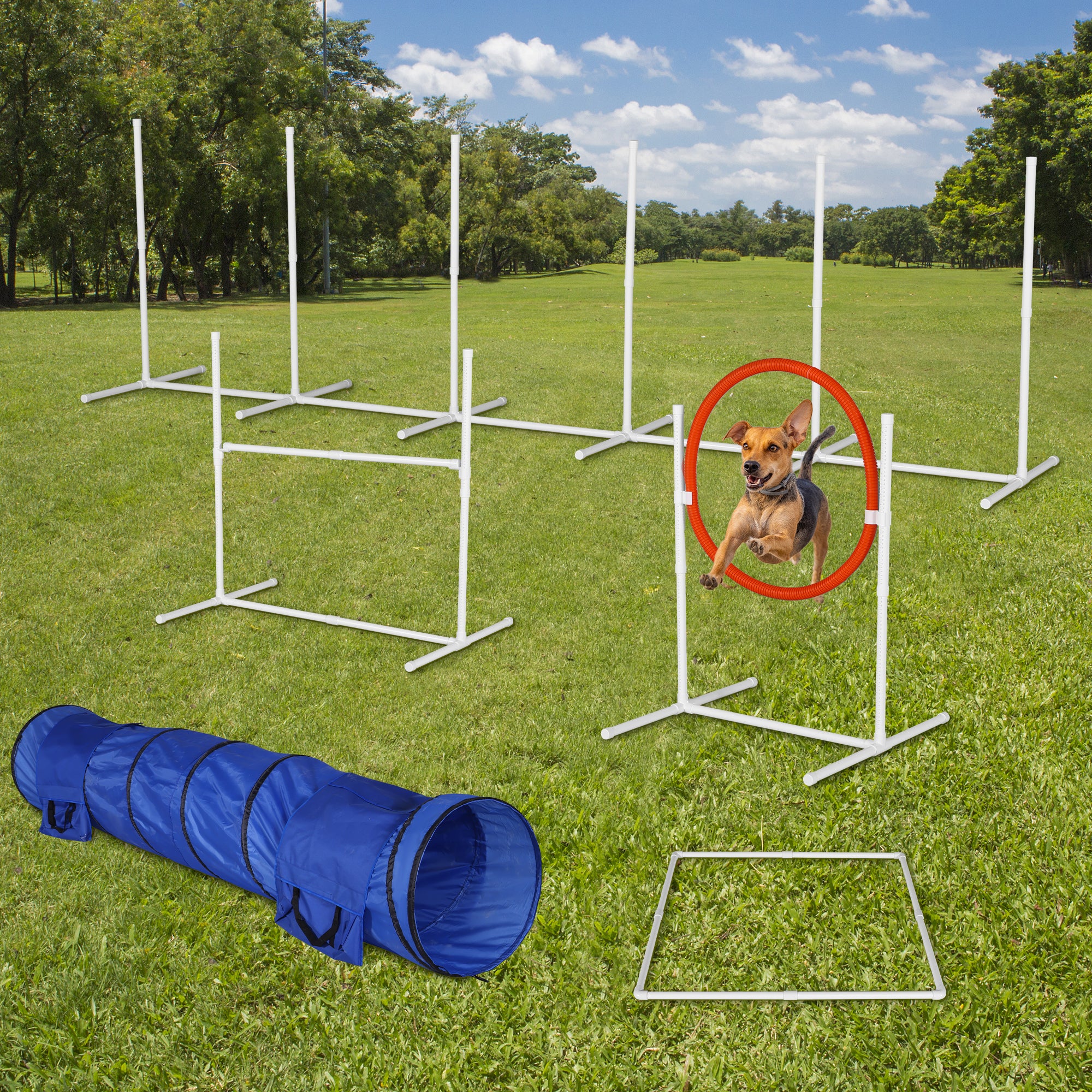 🆓🚛 6 Pack Dog Agility Training Equipment Set