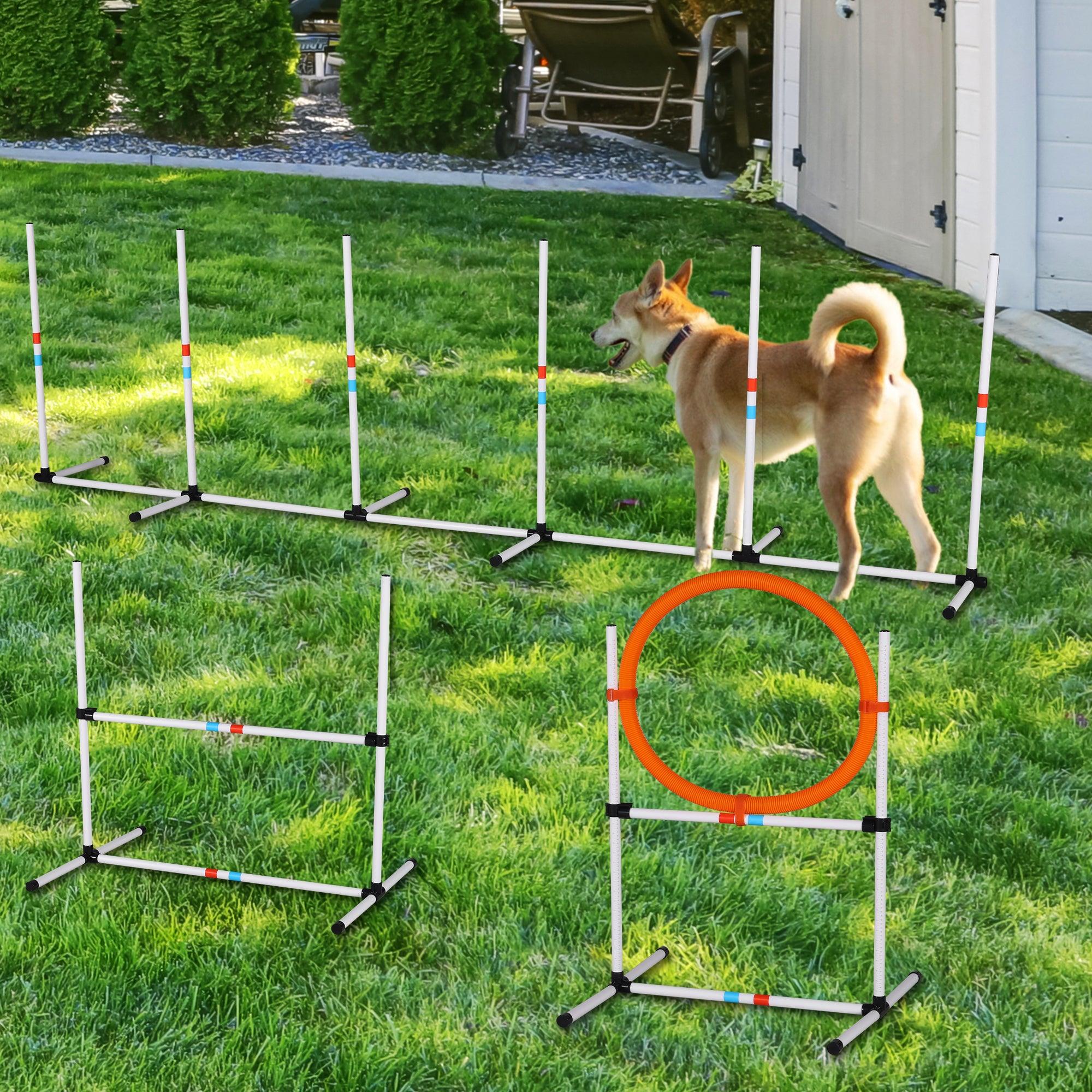 🆓🚛 3PC Dog Agility Equipment Set, Obstacle Course Exercise for Dog