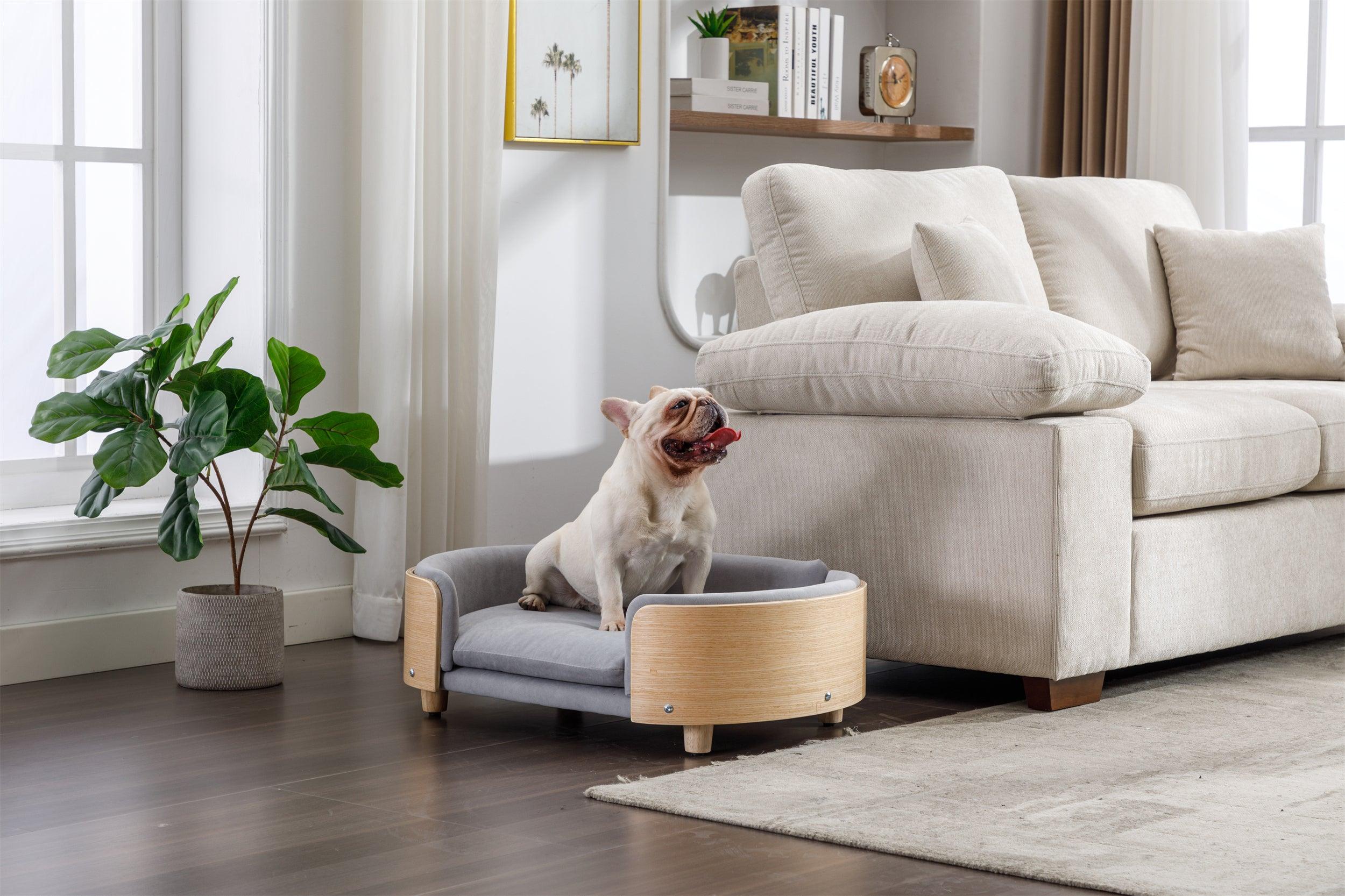 🆓🚛 Scandinavian Style Elevated Dog Bed Pet Sofa With Solid Wood Legs & Bent Wood Back, Velvet Cushion, Mid Size Light Gray